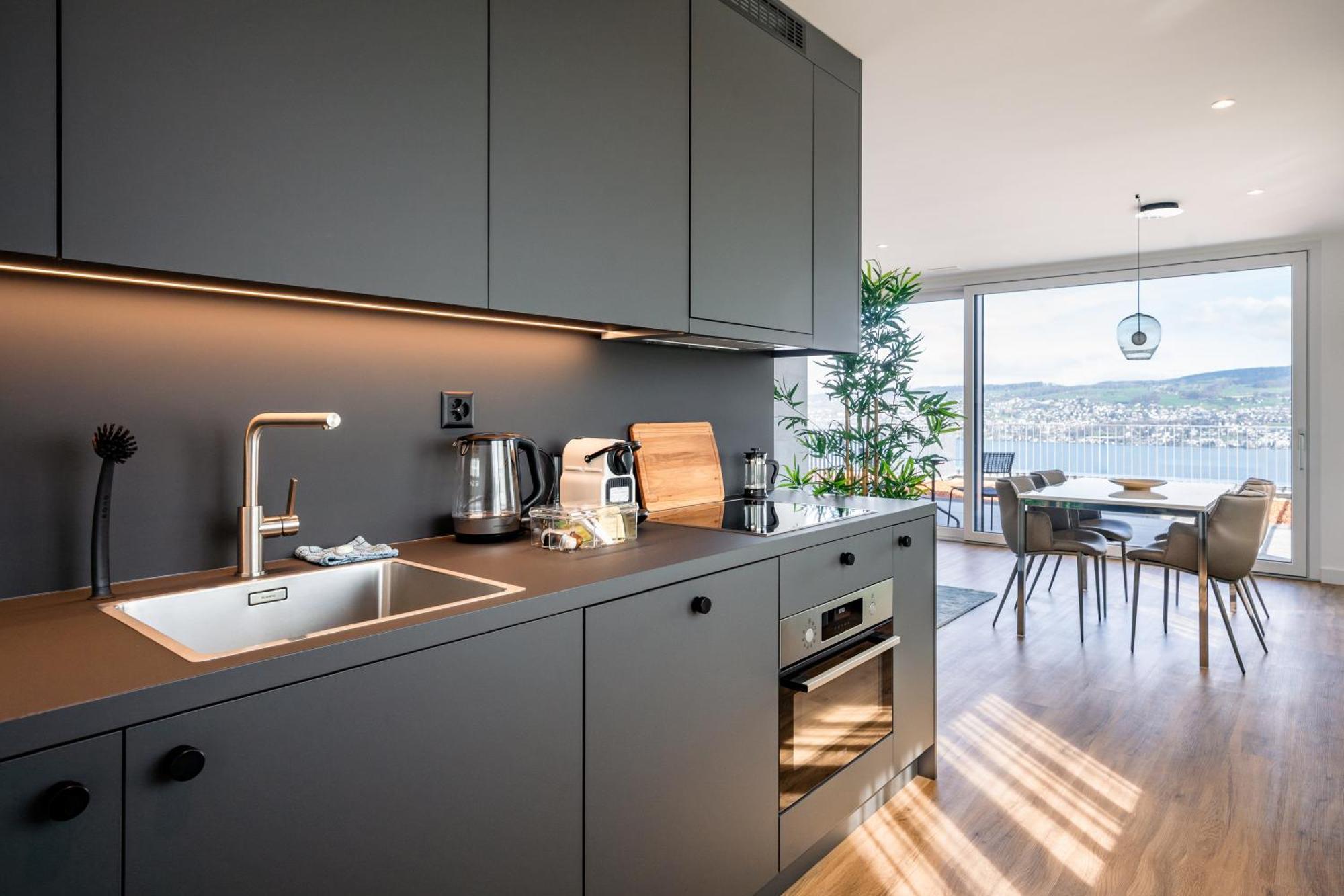 Aestate Living Lakeview In Horgen Zuerich Zug Pfaeffikon Екстер'єр фото